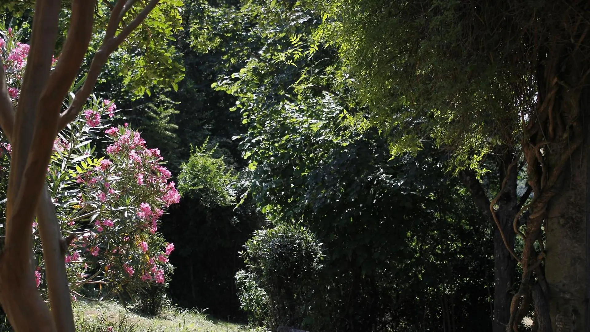 Gite Pour 2 En Pleine Nature Avec Jaccuzzi غايلاك بيت للعطل